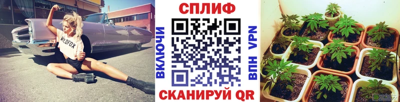 Шишки марихуана ГИДРОПОН  Спасск-Рязанский 